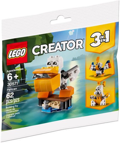Veraangenamen Ventileren vod LEGO Pelikaan (Polybag) (LEGO 30571) | 5702016373080 | LEGO Creator | LEGO  | BRICKshop - LEGO en DUPLO specialist